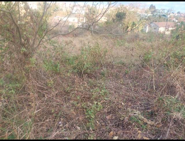 LAND FOR SALE IN ADAMS MISSION